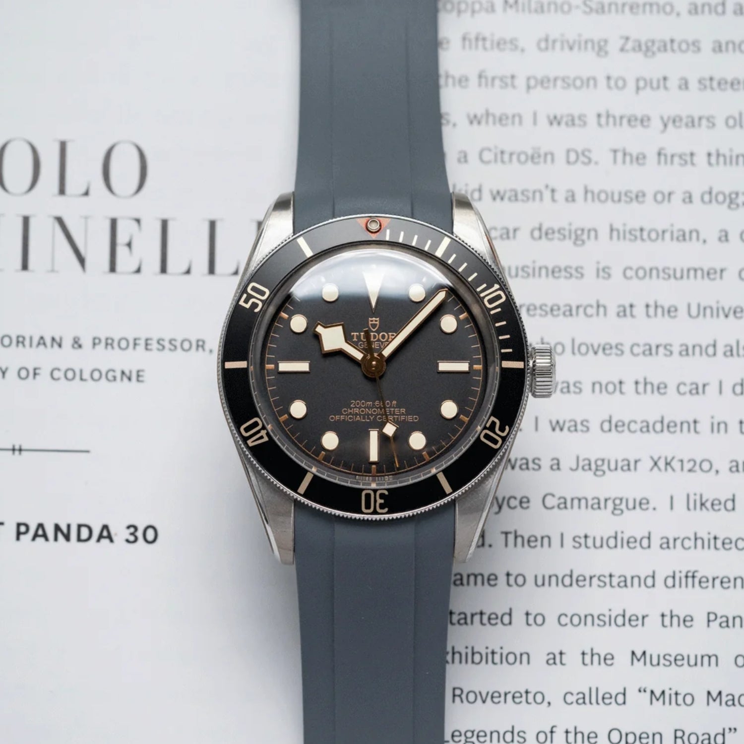 Kautschukarmband - Für alle Tudor Black Bay Modelle - Grau - Helvetus DE