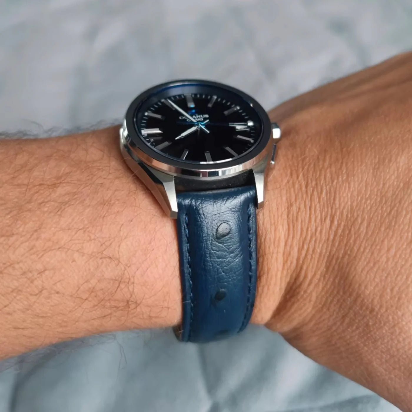 Strauss Leder Armband - Blau - Strauss Muster - Helvetus DE